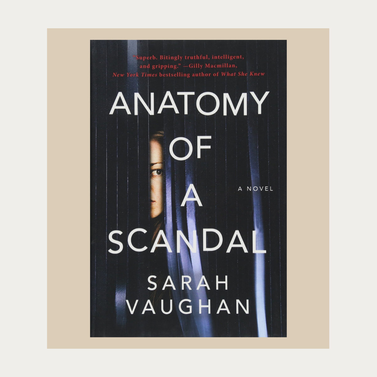 Anatomy of a Scandal
