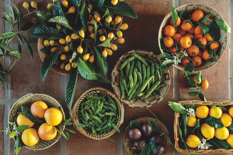 Spring produce spread The Lush Life