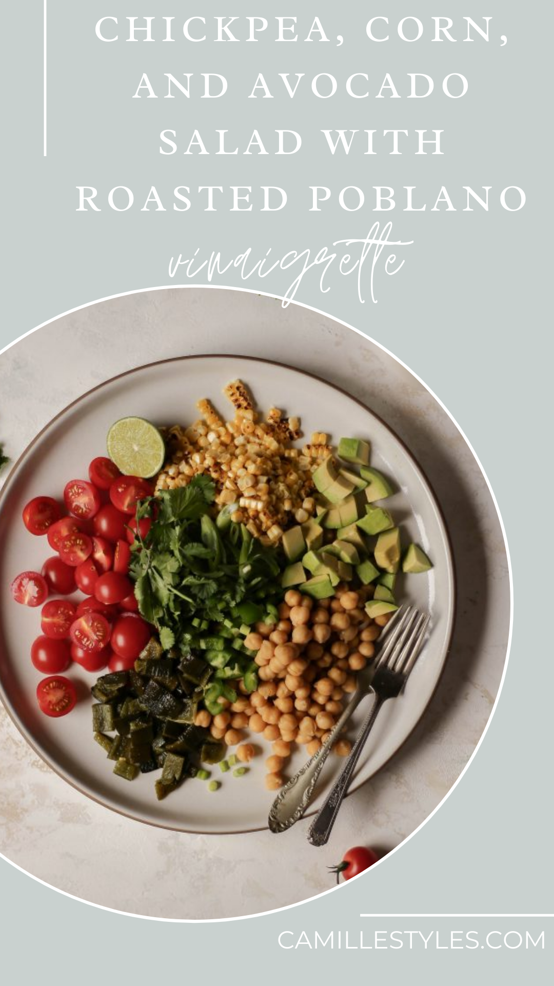 vegan cinco de mayo recipe