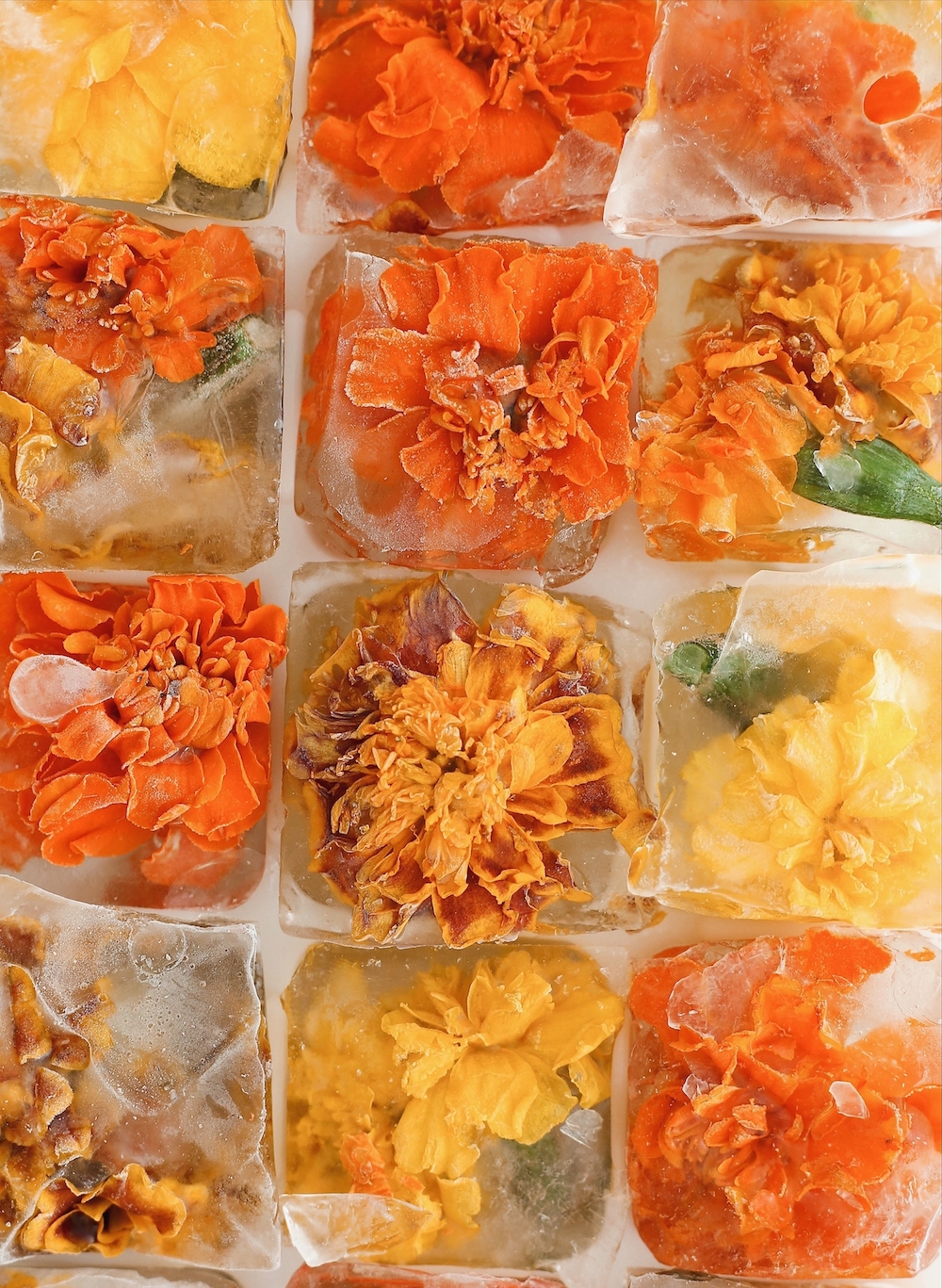 four ice cube recipes to celebrate summer and step up your summer drinks game
