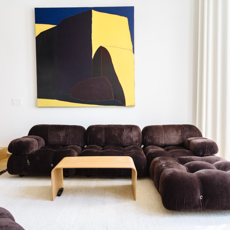 living room trends)shani van breukelen