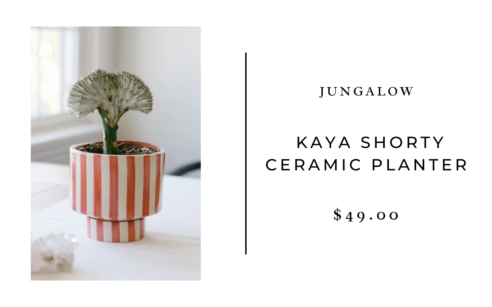 kaya shorty planter jungalow
