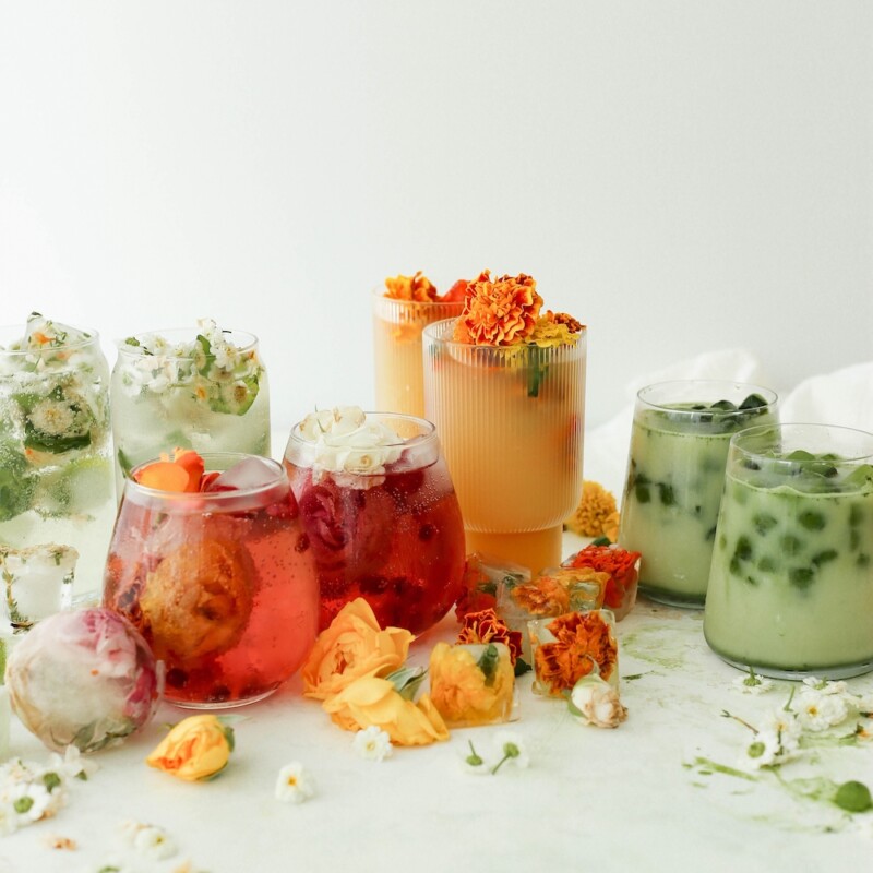four ice cube recipes to celebrate summer and step up your summer drinks game