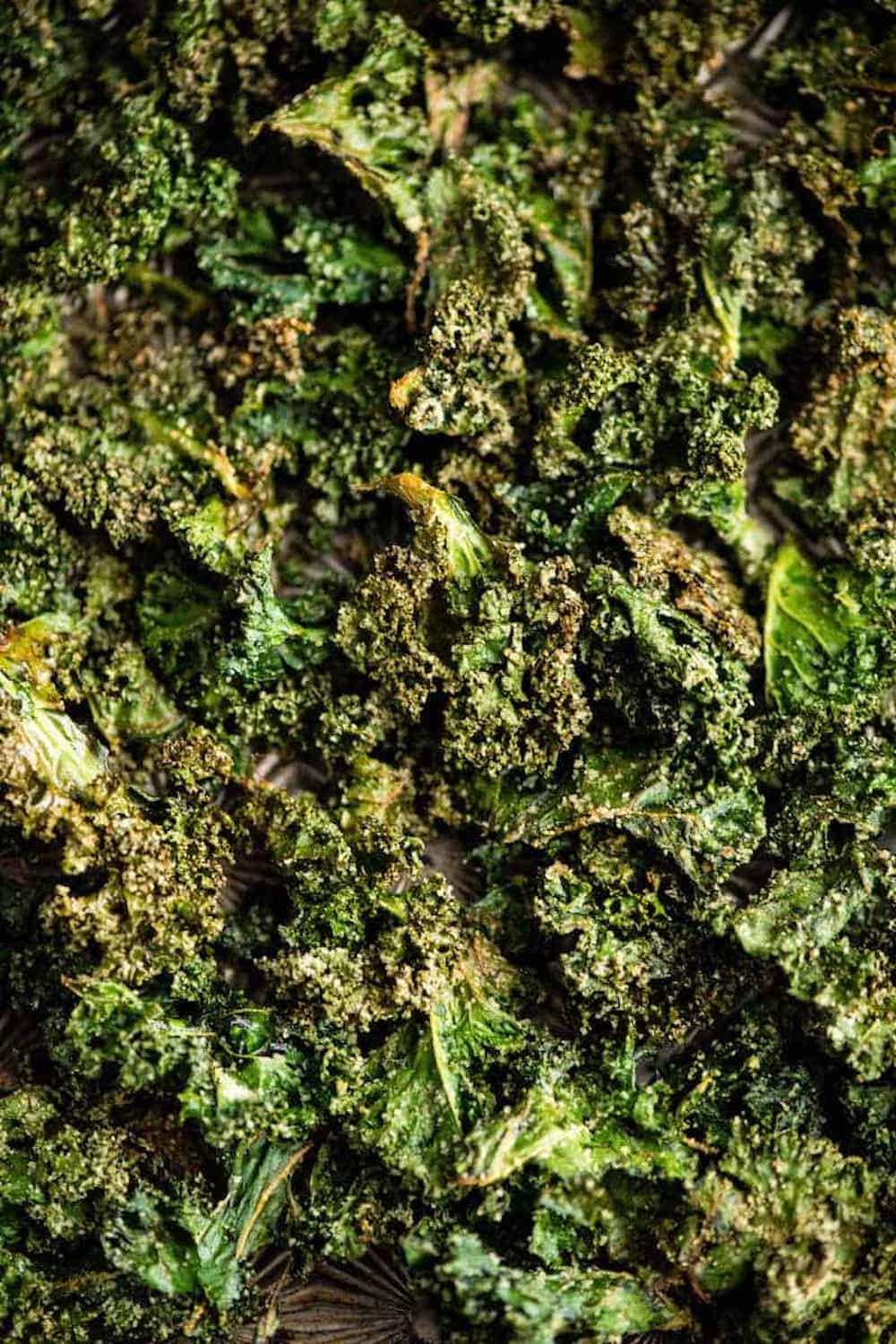 baked-kale-chips-recipe-8
