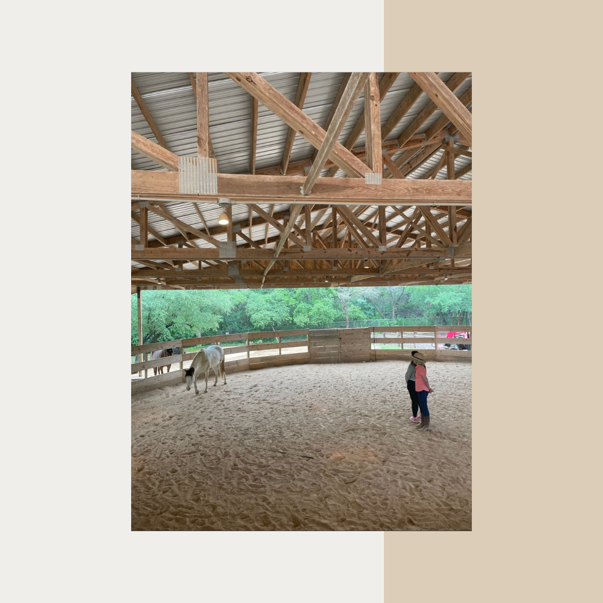 what is equine therapy