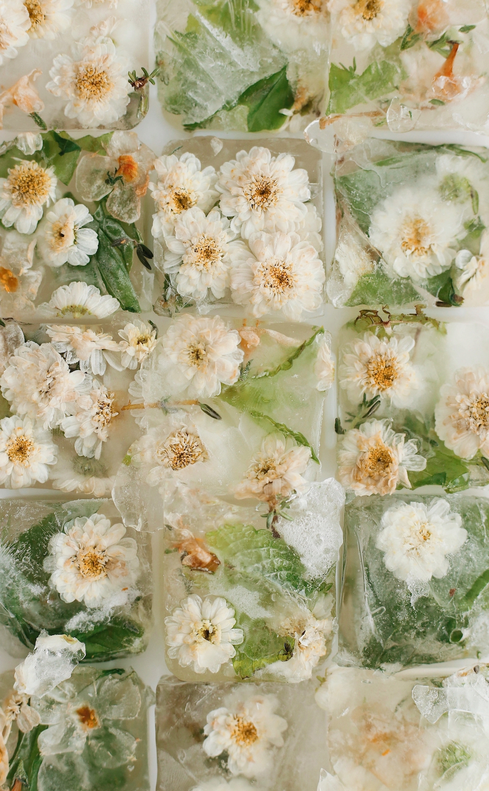 four ice cube recipes to celebrate summer and step up your summer drinks game