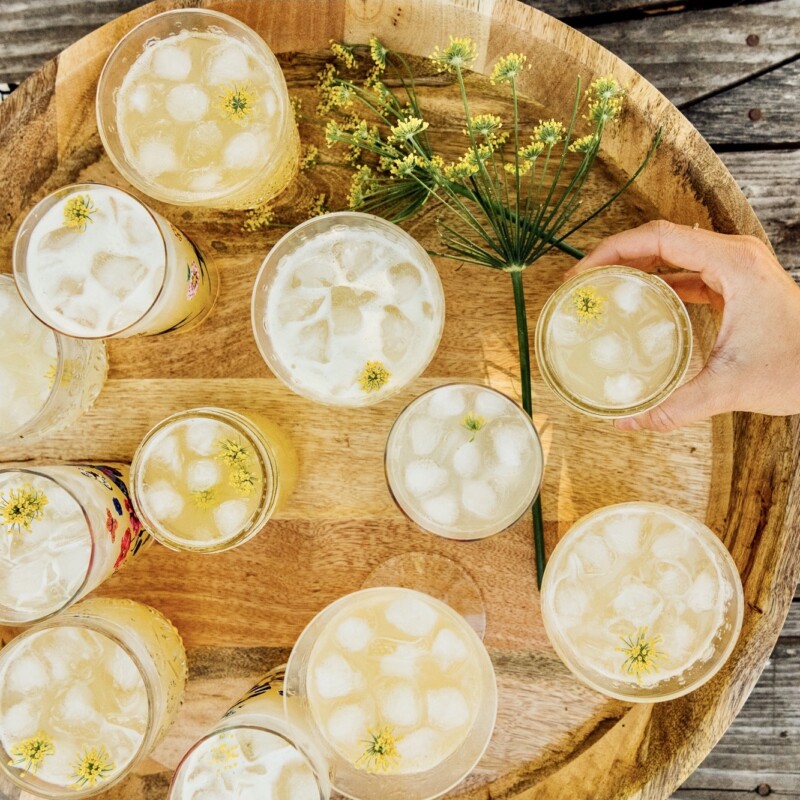 plumcot cocktails horizontal