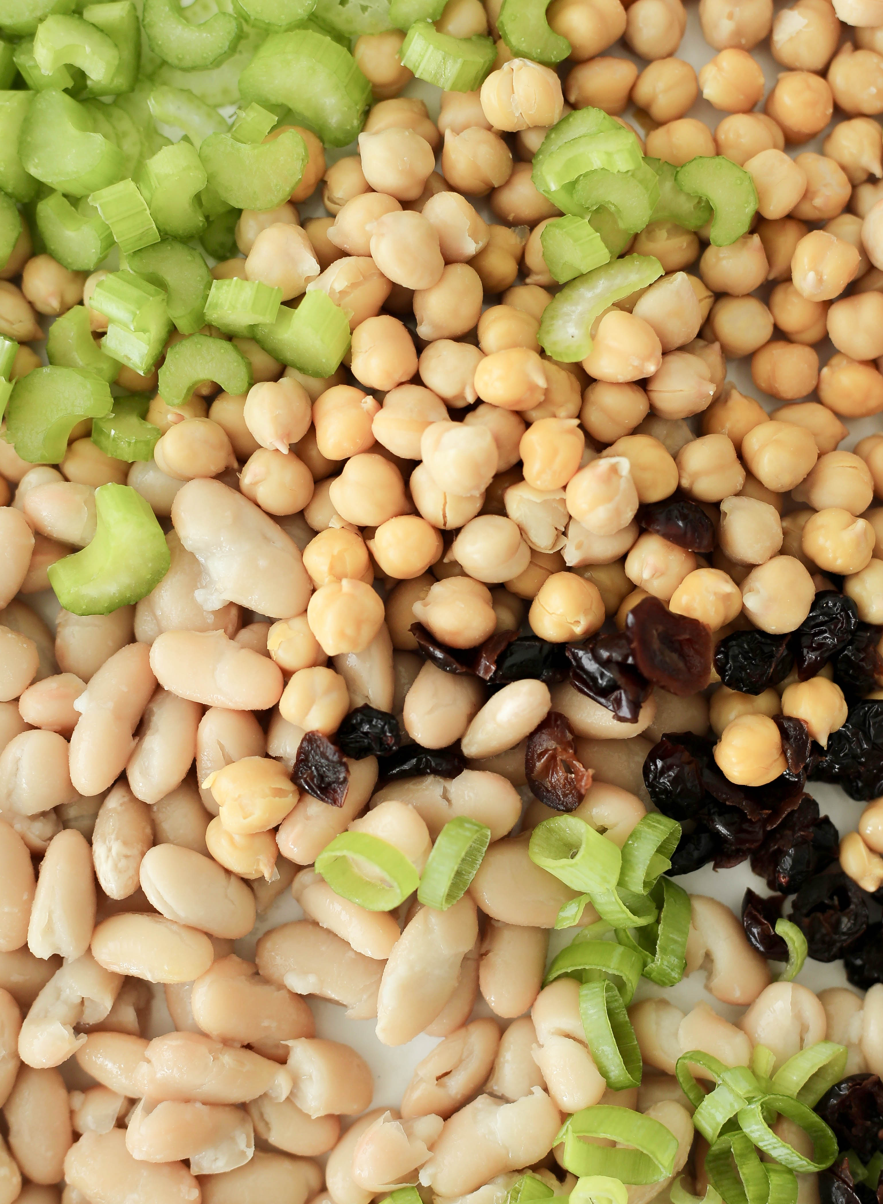 vegan chickpea salad sandwiches with cannellini beans, celery, and cranberries