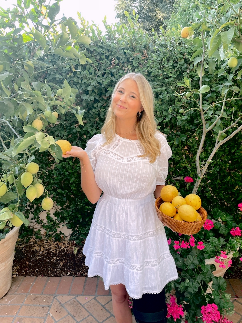 bridget chambers lemons