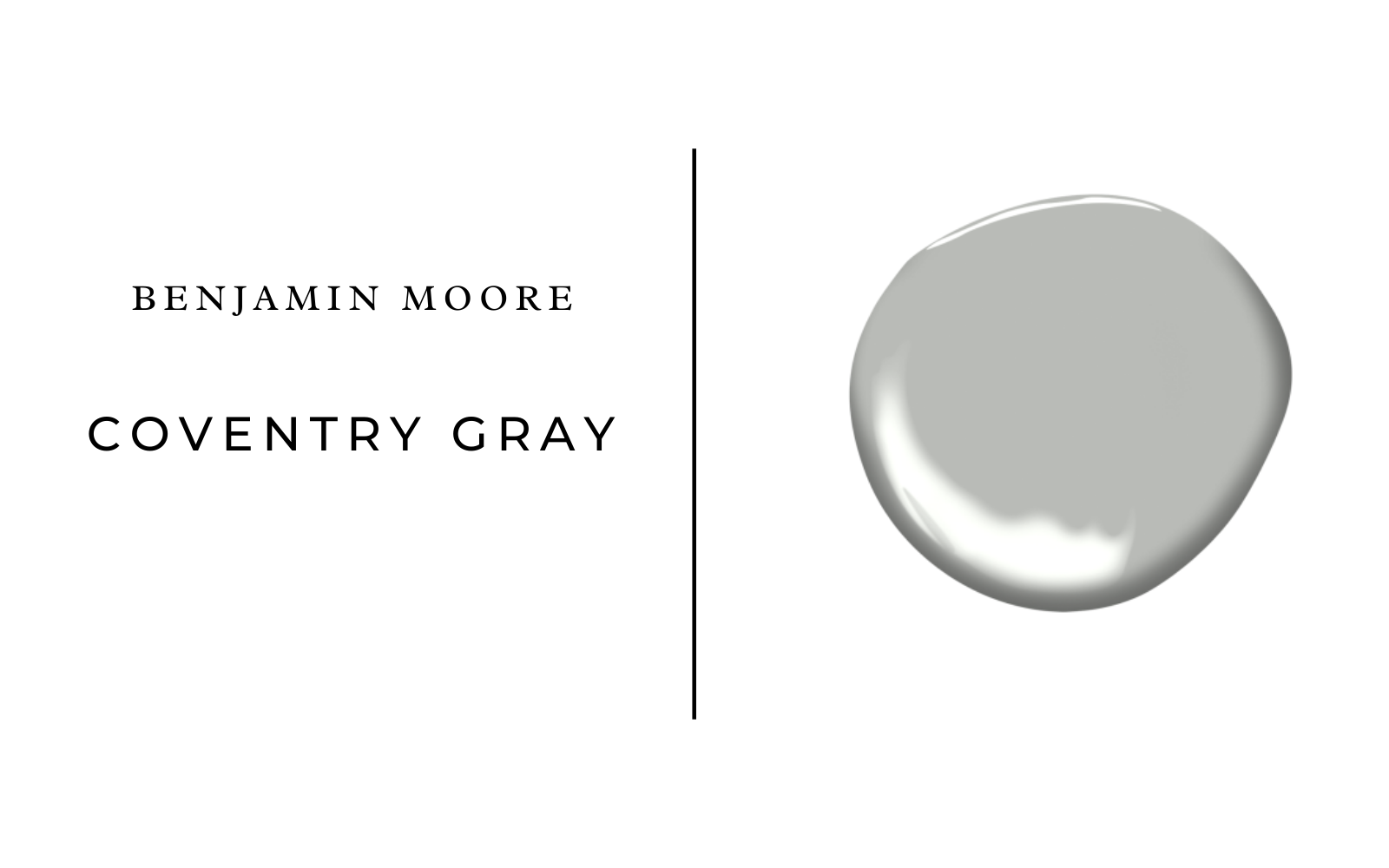 benjamin moore coventry gray