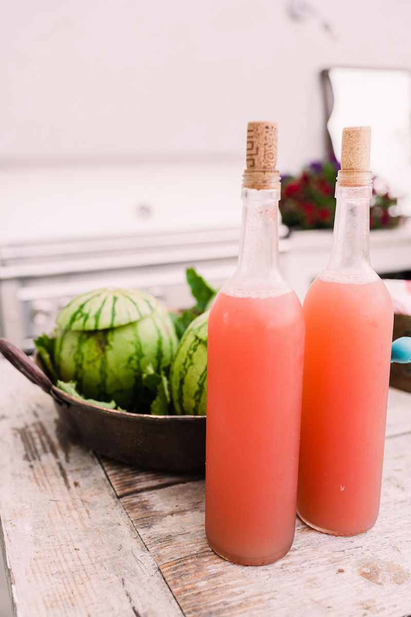 Watermelon Vodka Cocktail_spring cocktail recipes