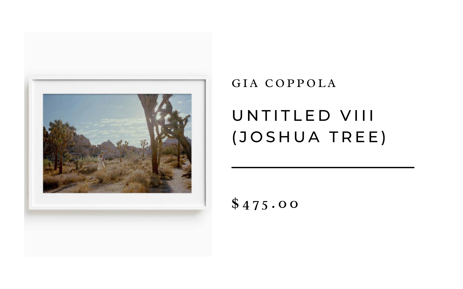 untitled joshua tree