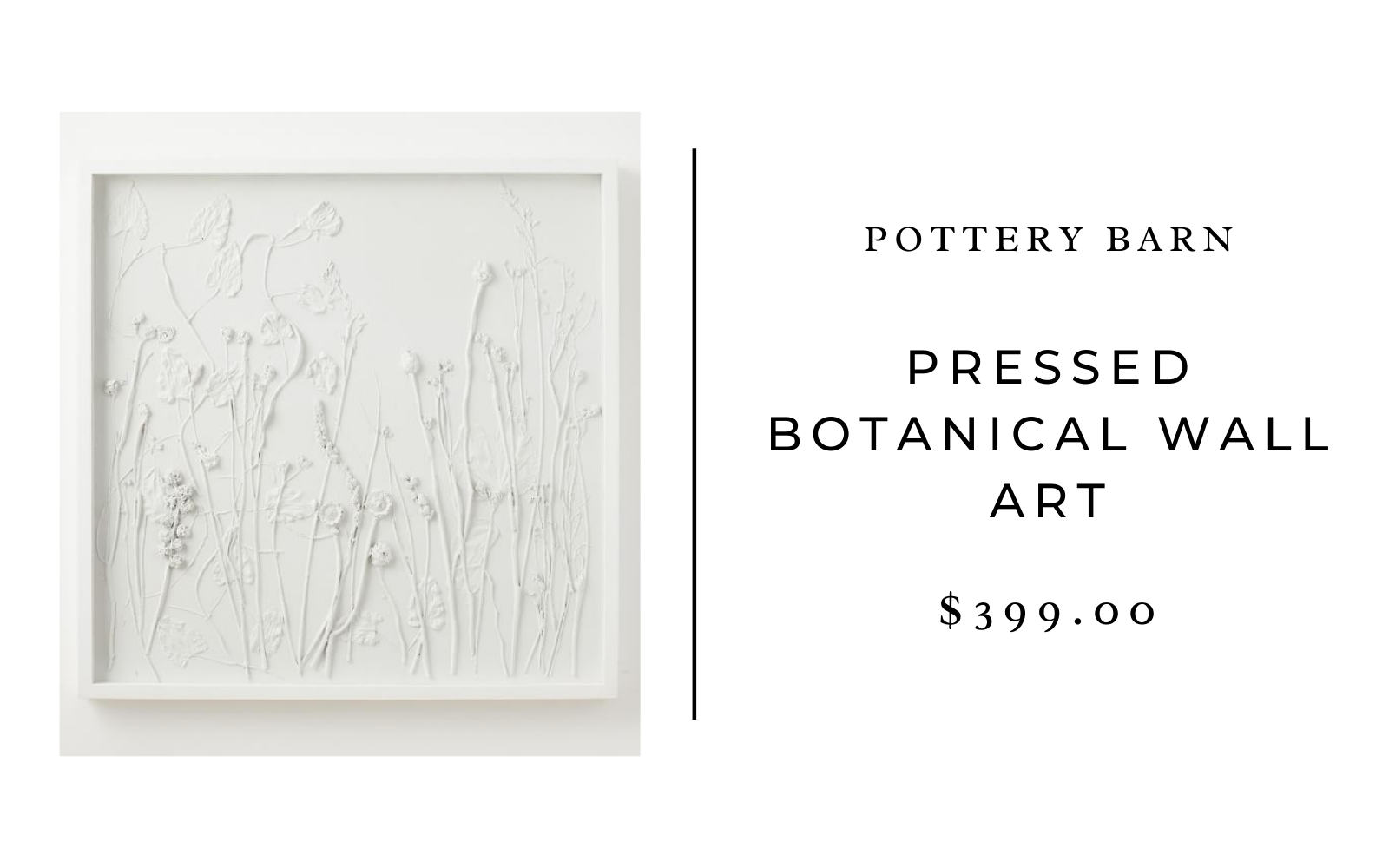 pressed botanical wall art