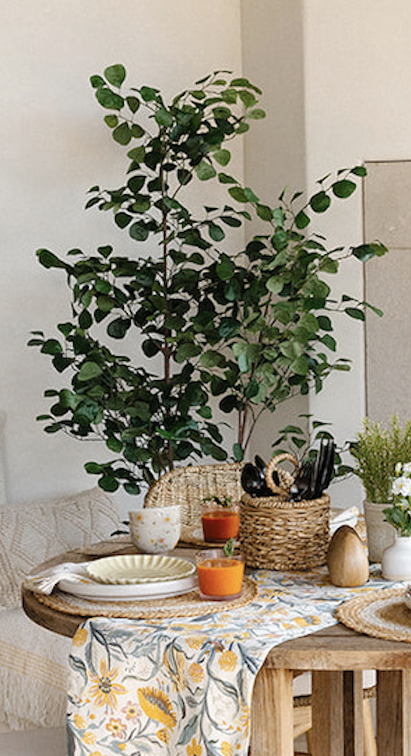 Triangle Ficus Tree - Threshold with Studio McGee