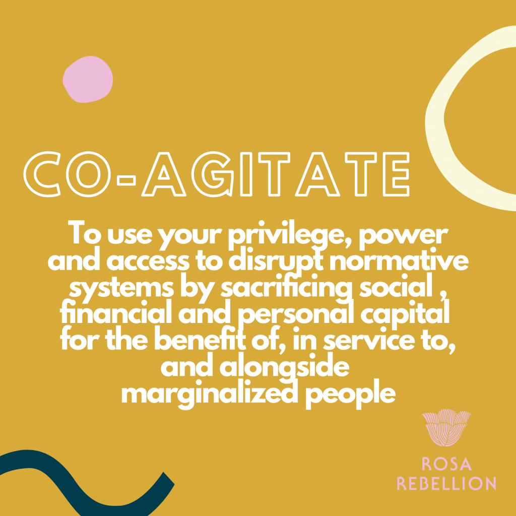 co-agitator description