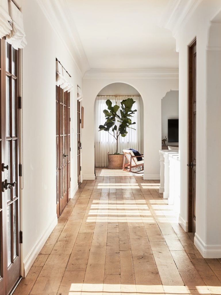 image of lauren conrad's los angeles home_indoor plant trends 2022