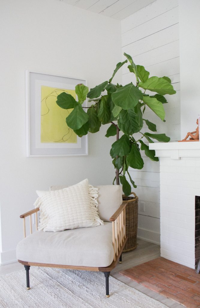 living room decor trends