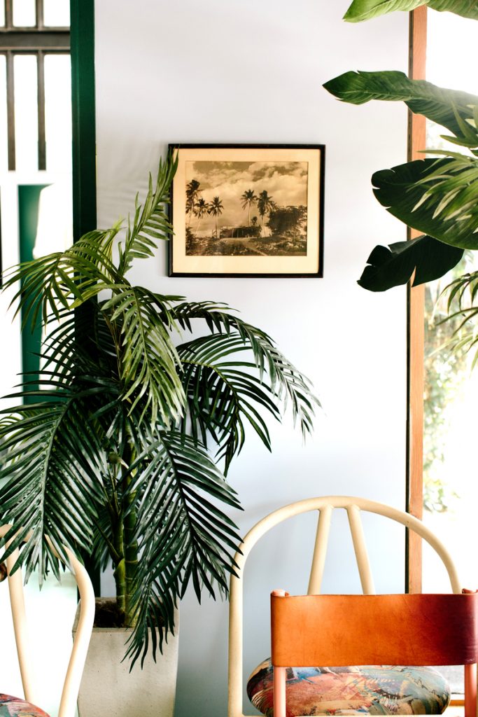 spring decor trends_indoor plants