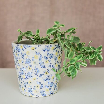 cute indoor planters