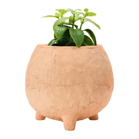 cute indoor planters