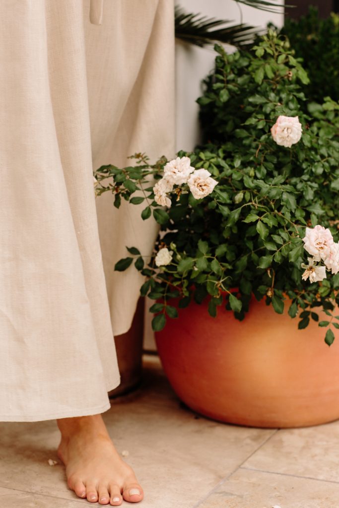 outside, nature, plants_things to do on daylight savings