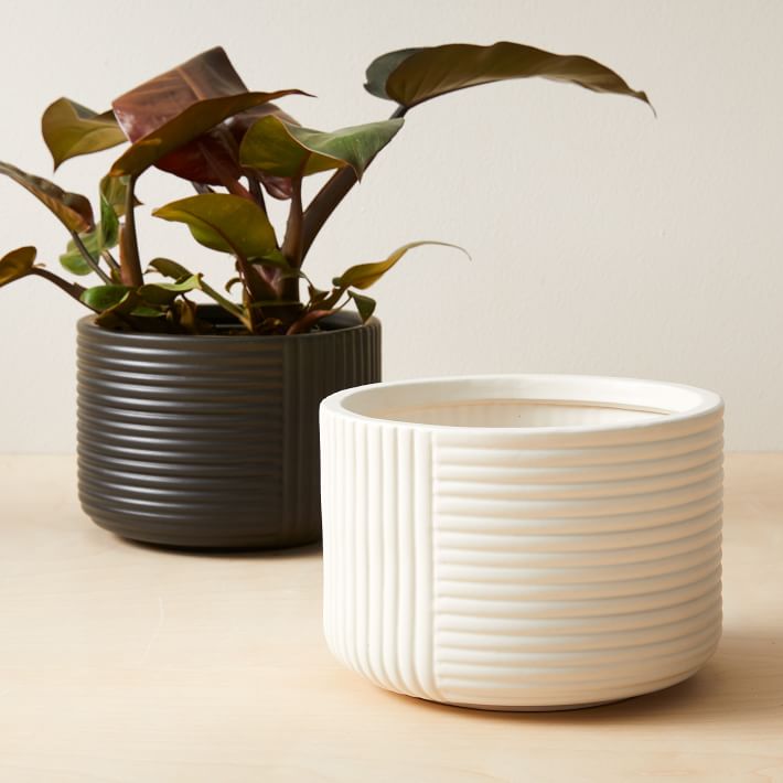 cute indoor planters
