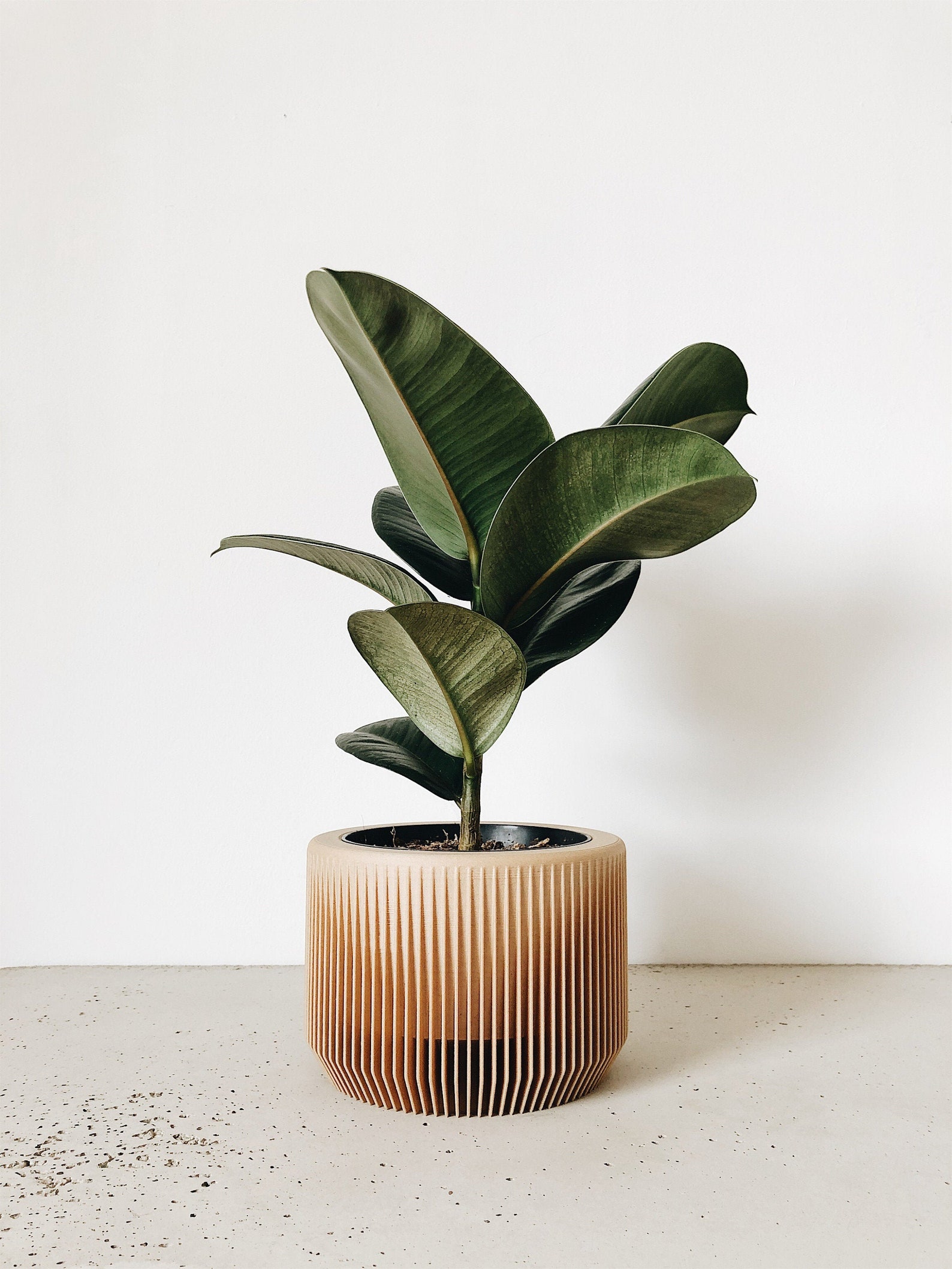 cute indoor planters