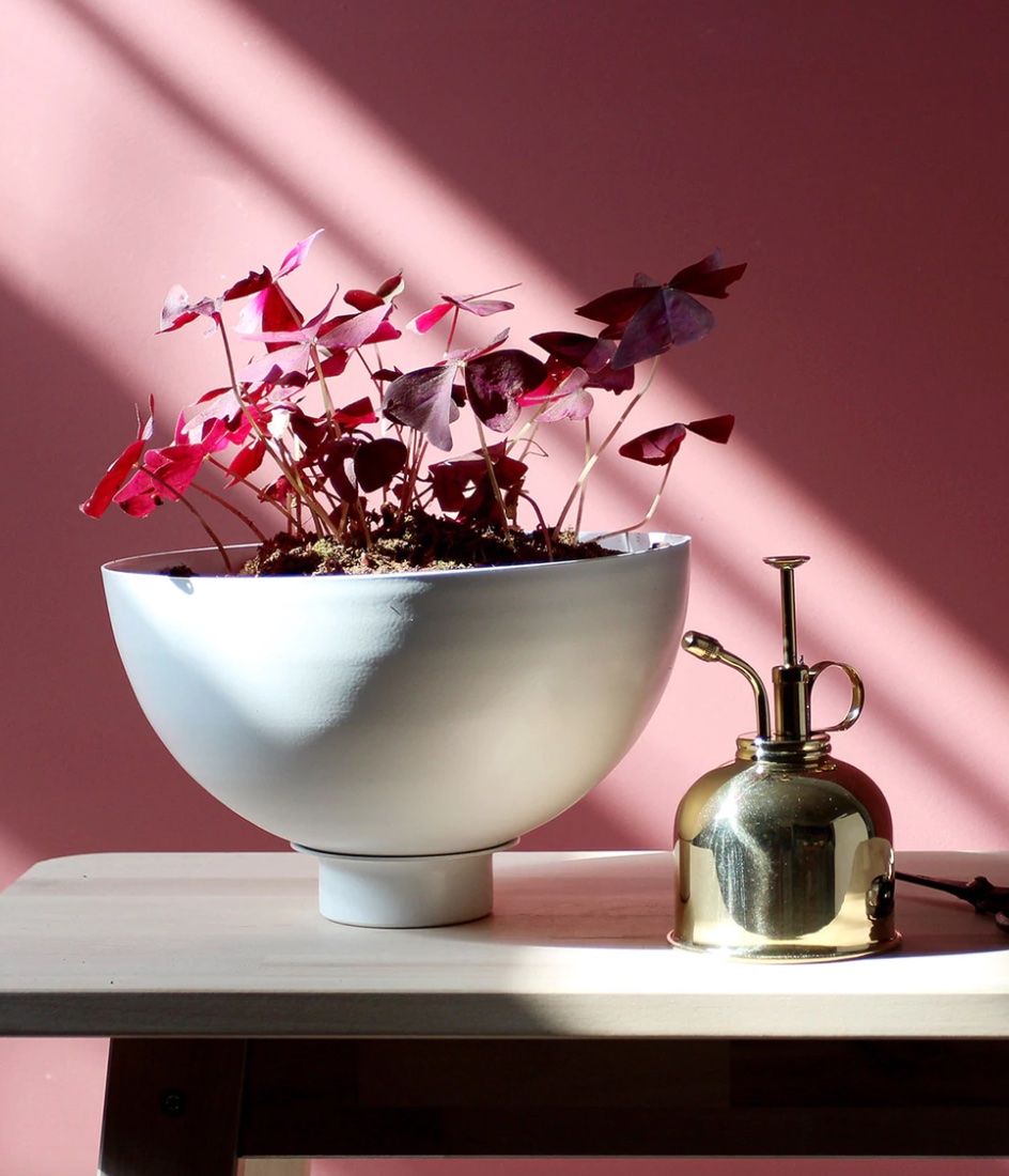 cute indoor planter