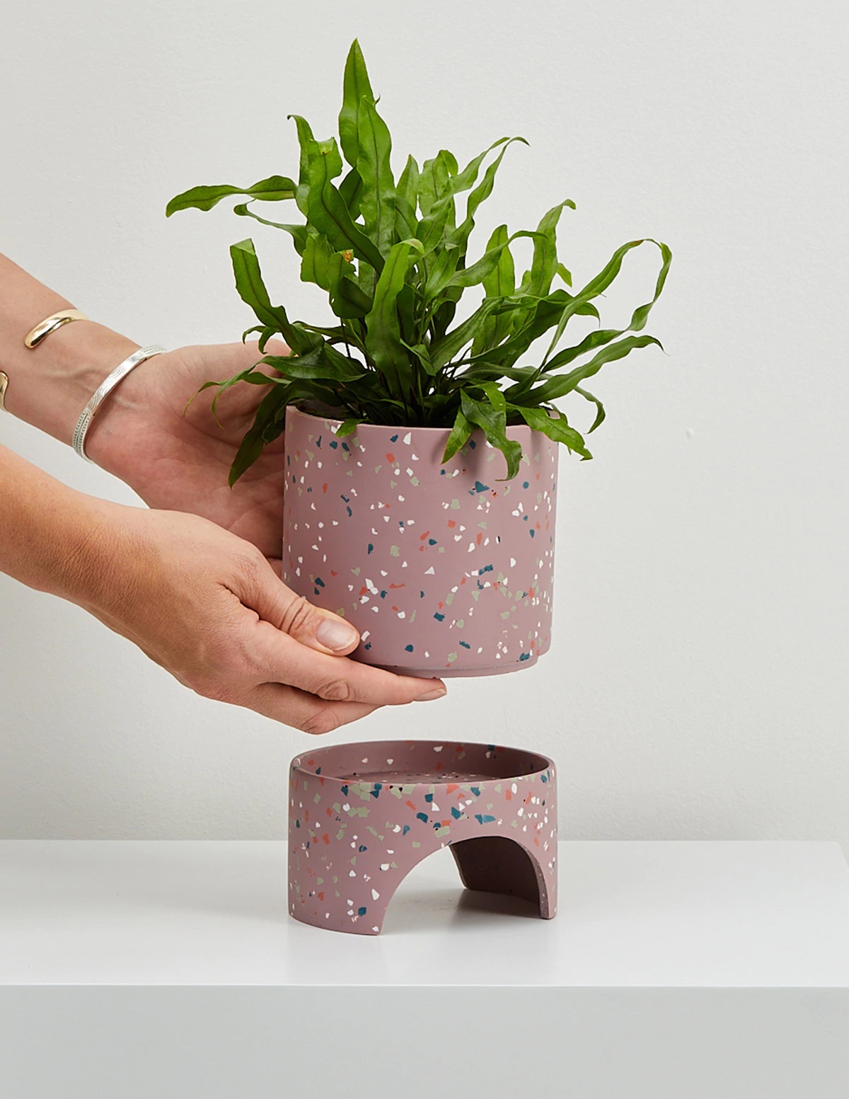 cute indoor planters