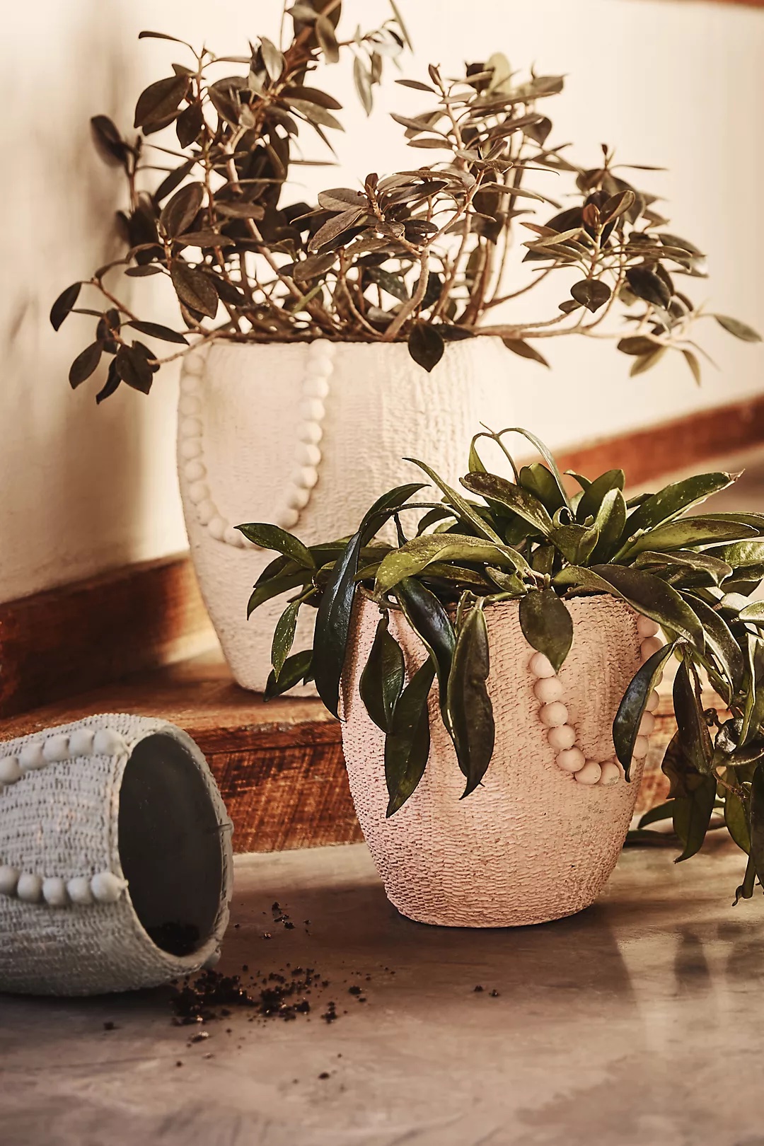 cute indoor planter