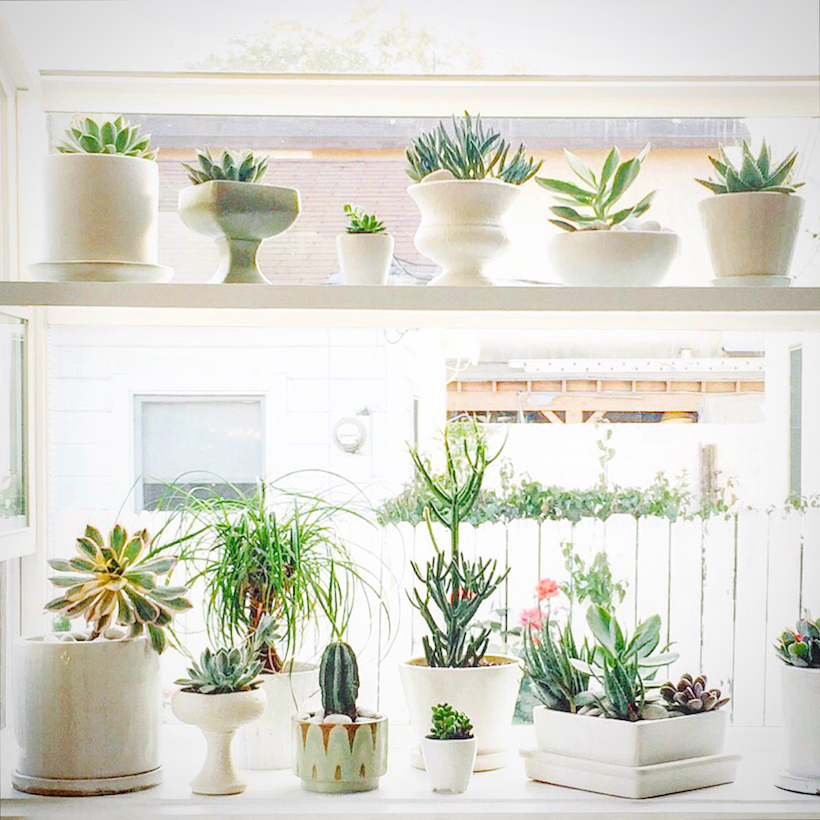 cute indoor planter