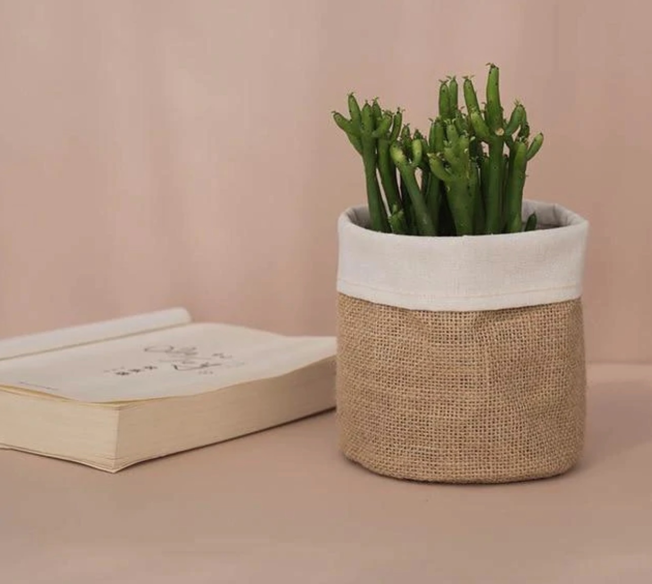 cute indoor planters
