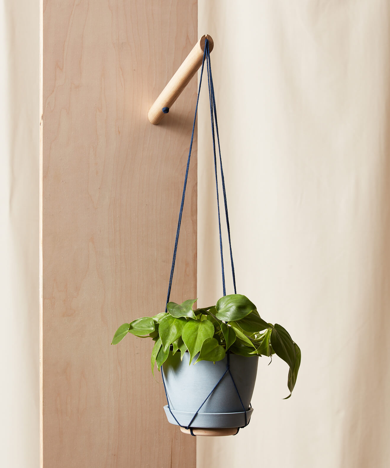 cute indoor planters