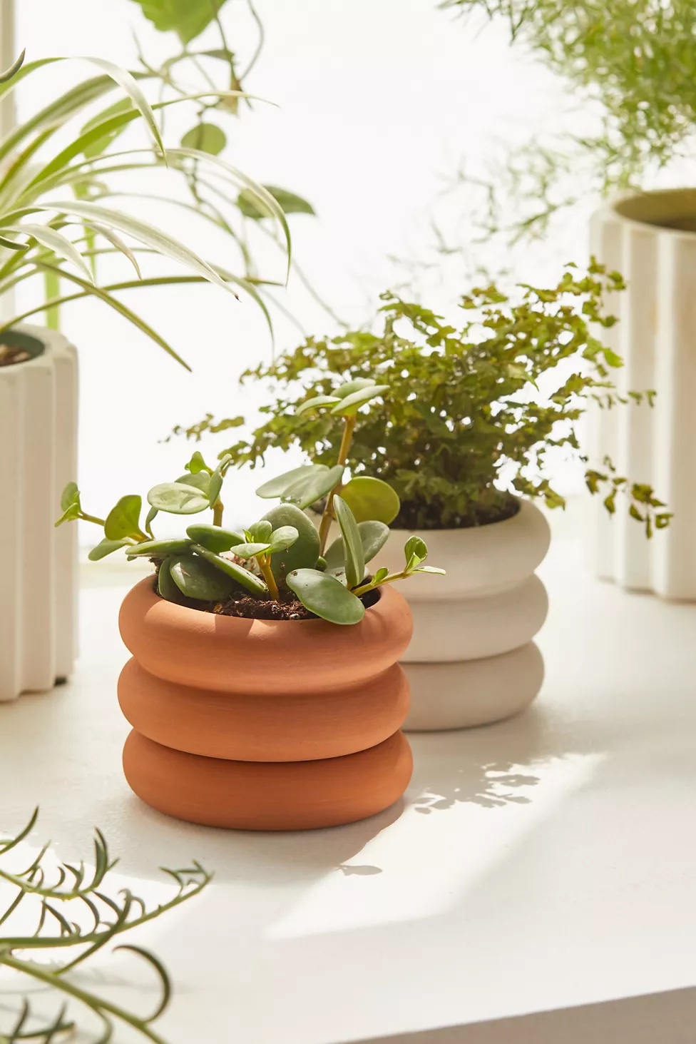 Cute indoor planters
