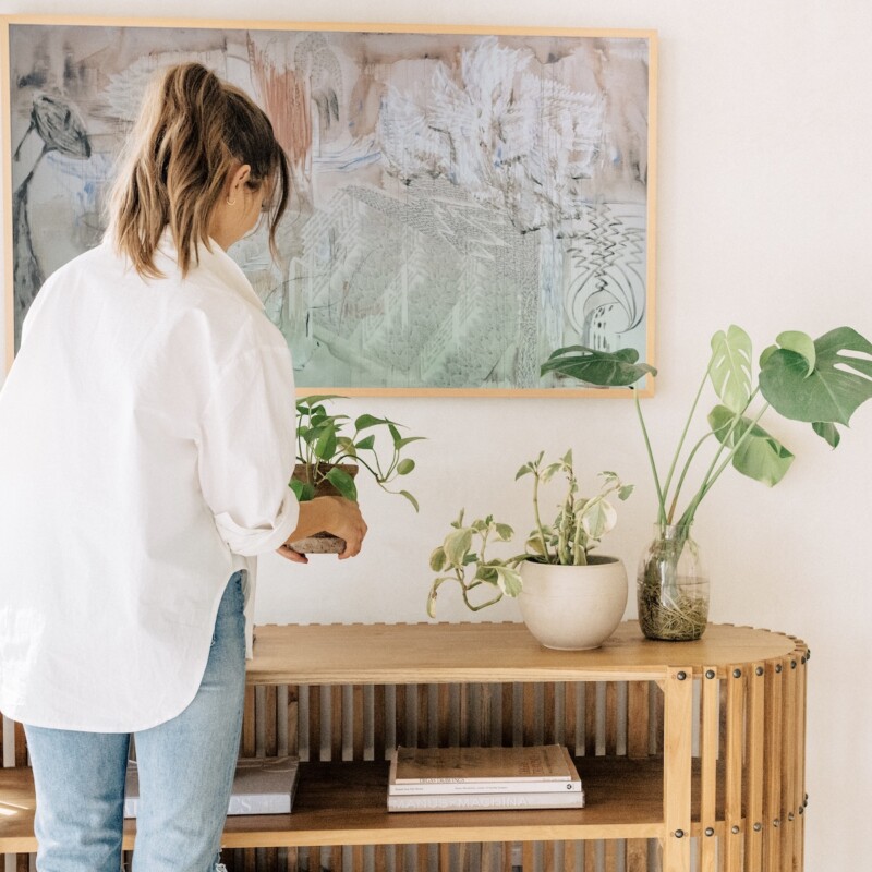 cute indoor planters