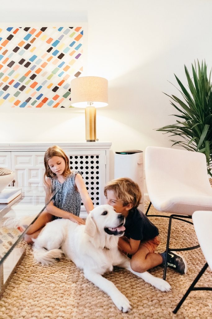 children playing with dog_kid confidence