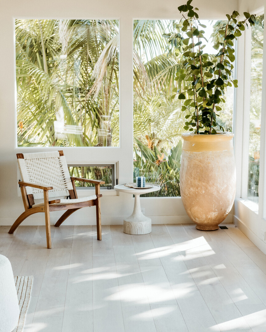 bright sunroom with large planter