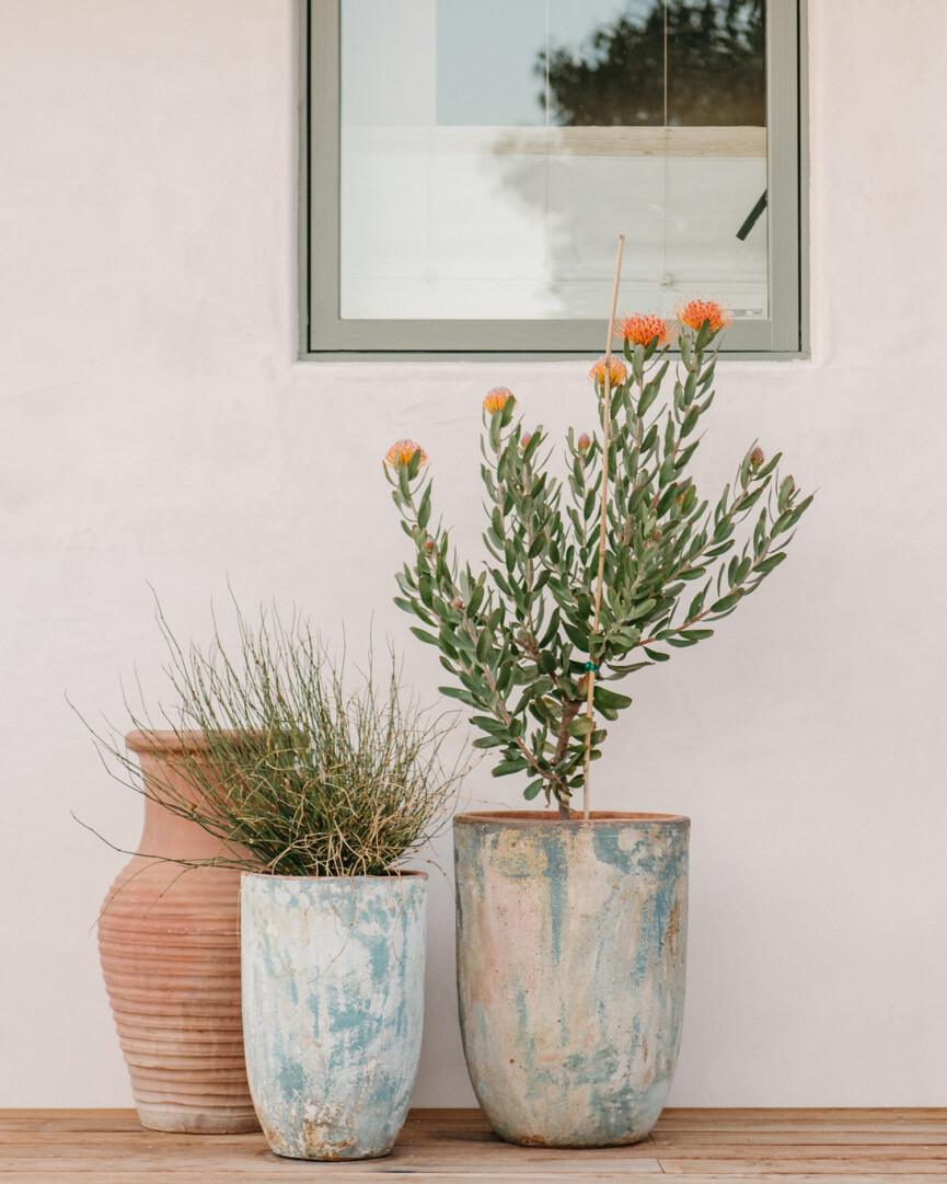 large outdoor planters