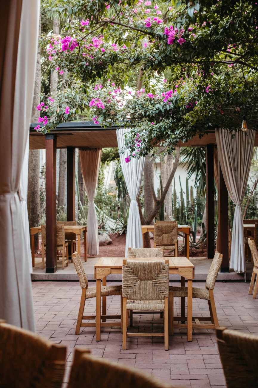 oaxaca-city-travel-guide