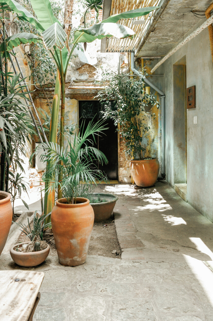 oaxaca-city-travel-guide