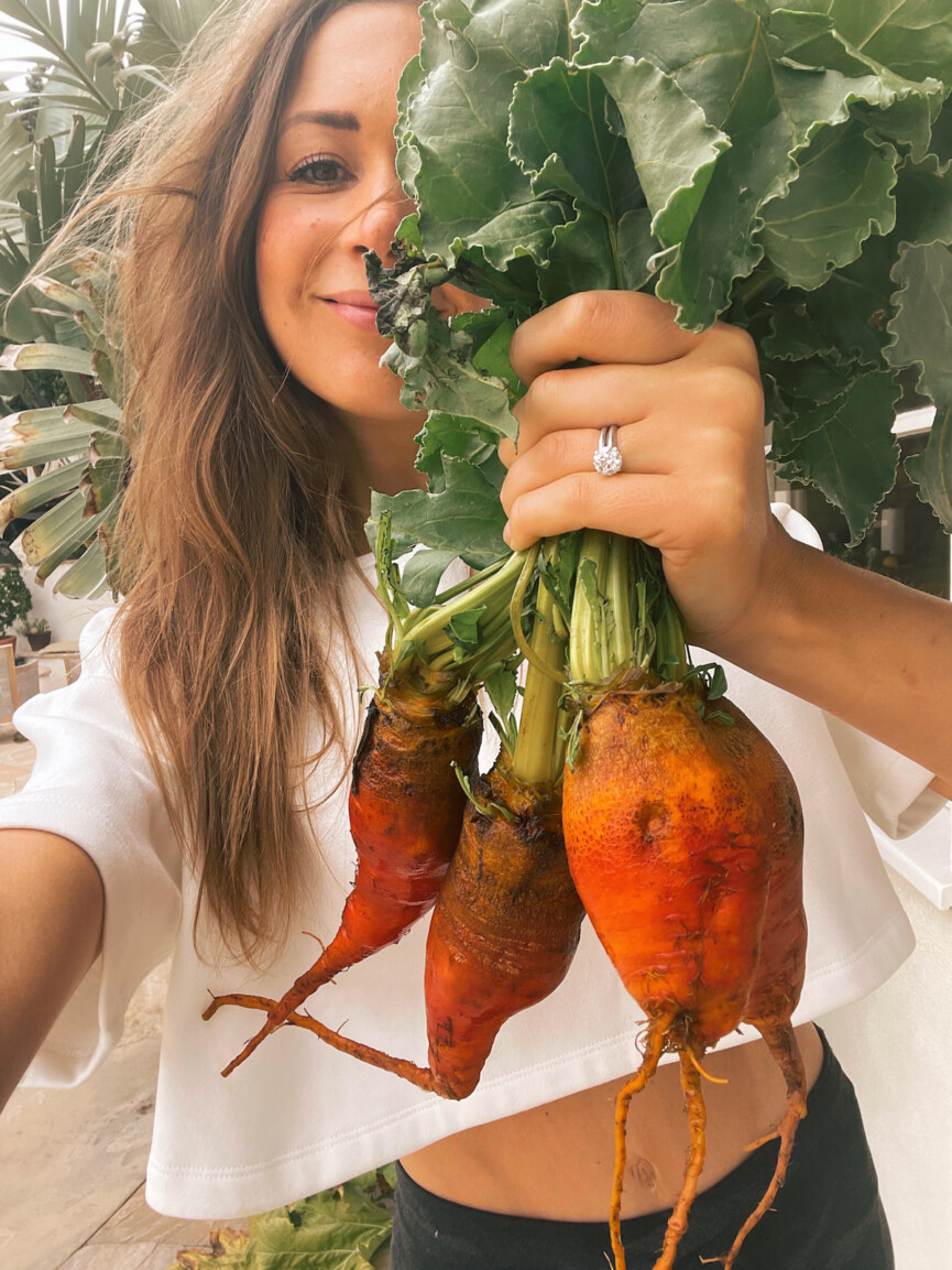 malibu-travel-guide-thorne-family-farm