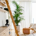 living room with tall plant and open shelving