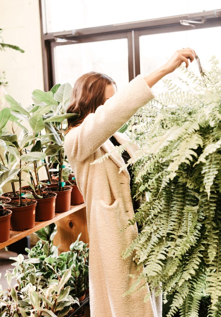Camille Styles shopping for indoor hanging plants at Austin flower market_best indoor hanging plants