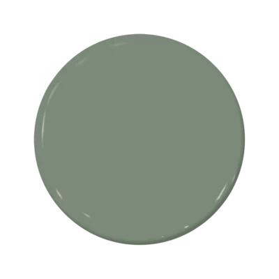 C2 Paint Aspen