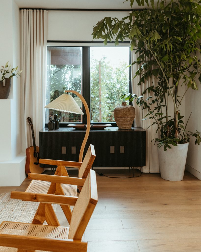 modern living room best low-light indoor plants