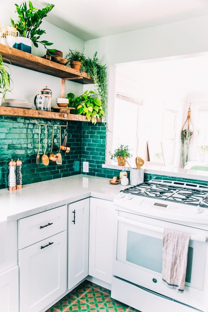 Justina Blakeney kitchen best low-light indoor plants