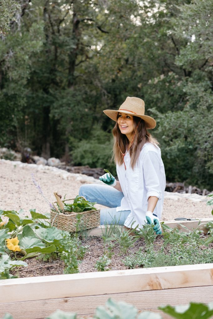 gardening tips for beginners, raised vegetable beds, gardening 101