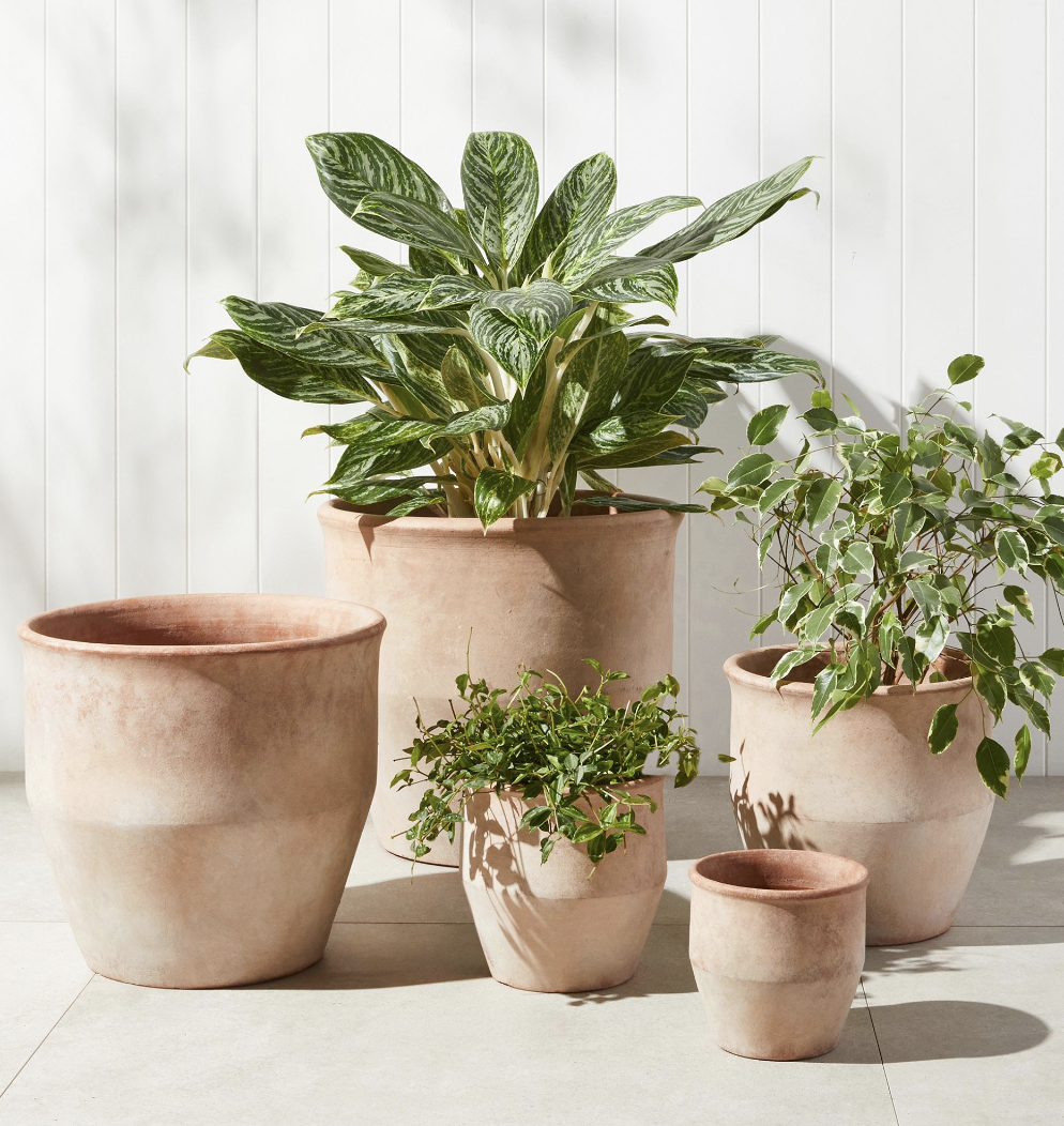 Terocotta Pots