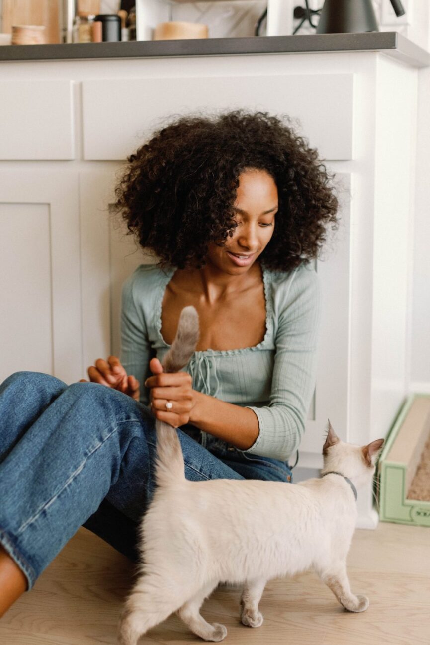 Woman petting cat.