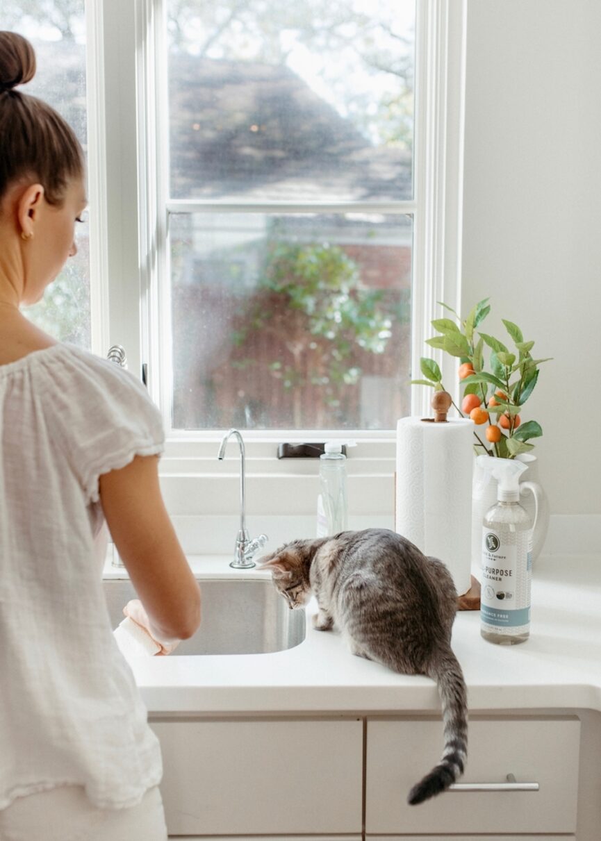 Non-toxic cleaning products.